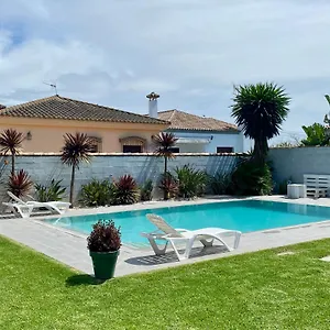 Arbol Del Tule Chiclana de la Frontera